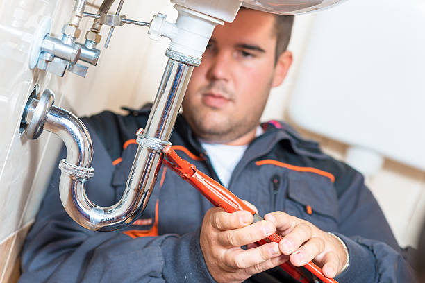 Best Trenchless Pipe Repair  in Taylorvle, IL